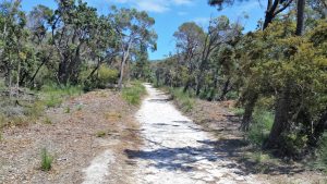 noosa-national-park